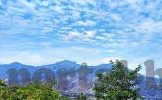 伦理电影迅雷下载-伦理电影,迅雷下载的多元视角与文化反思
